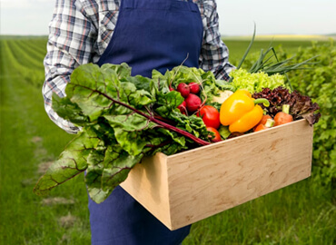Fresh Vegetables